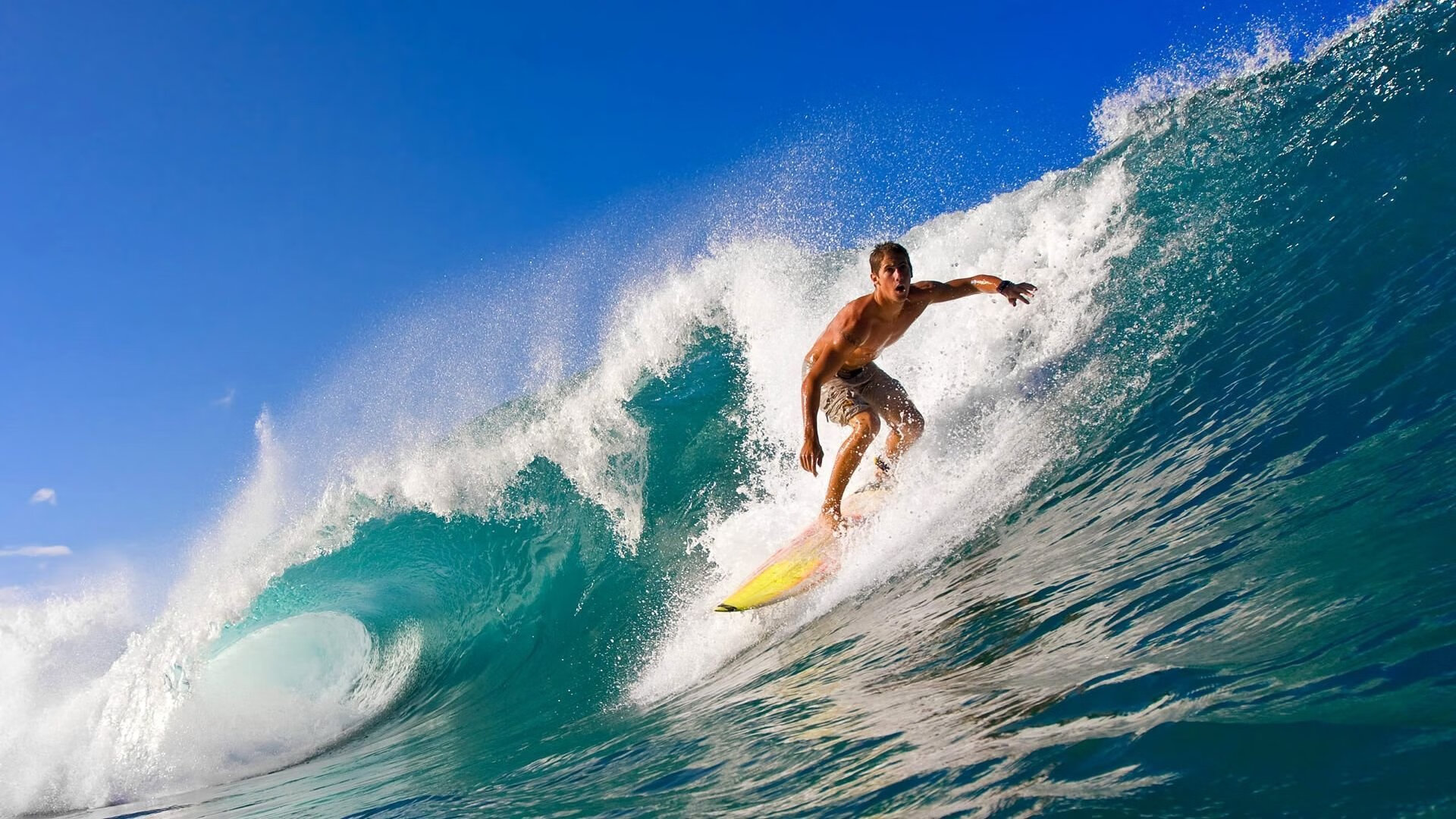 费德勒赛事官方爆出新规，美国队因“争议”频频，真相背后令人深思