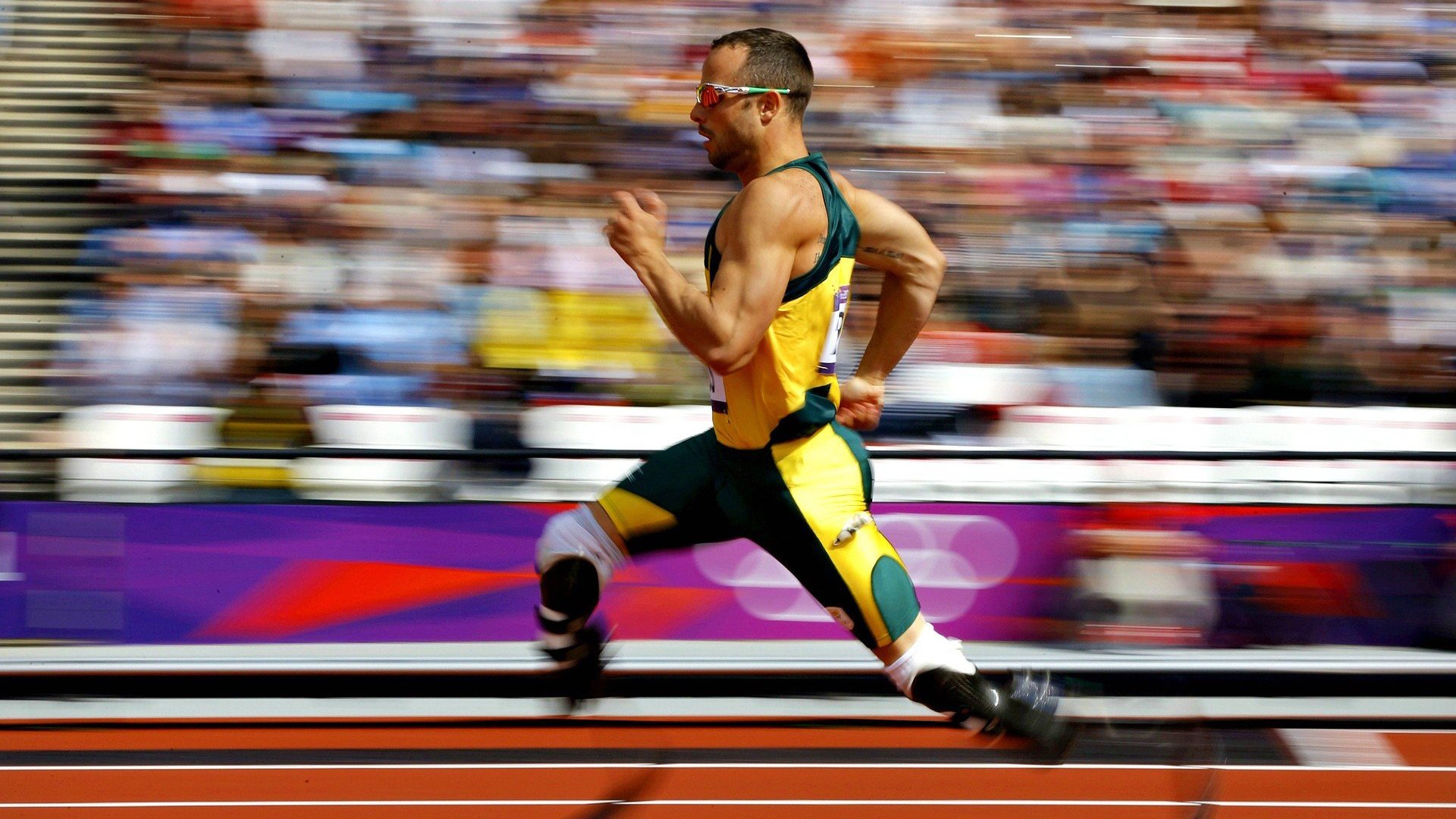 九游体育-莎拉波娃遭遇五持续失利，日本队教练压力巨大！全场沸腾不已